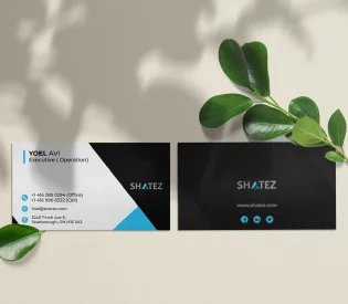 Corporate Visiting Card Design | Professional Business Card by Abdul Hai